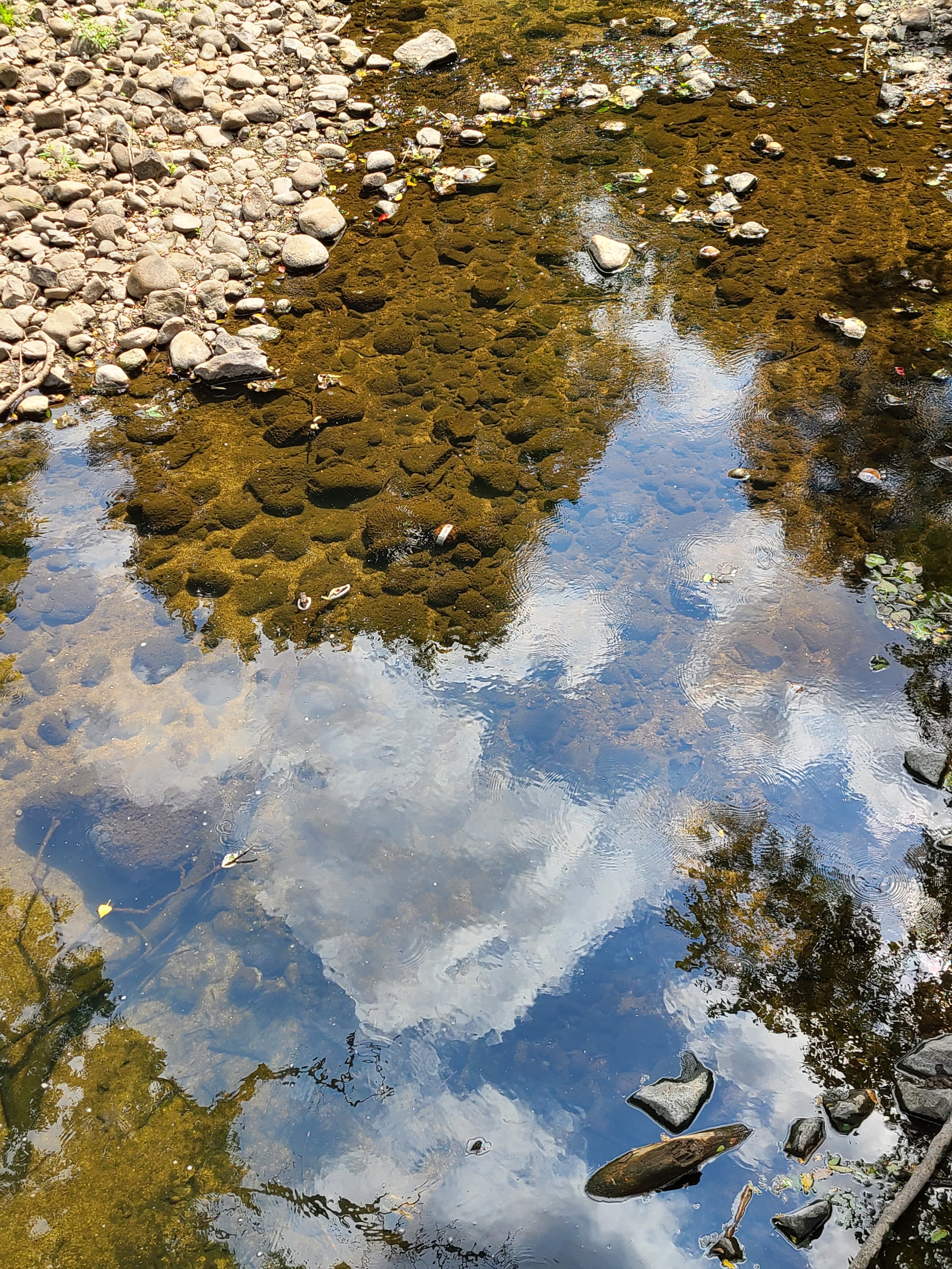 Reflections
