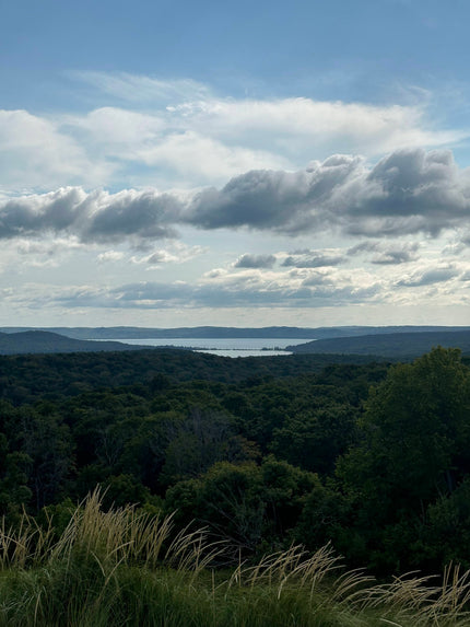 Fresh Air