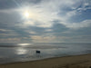 Eastham Tide #1