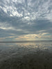 Eastham Tide #3
