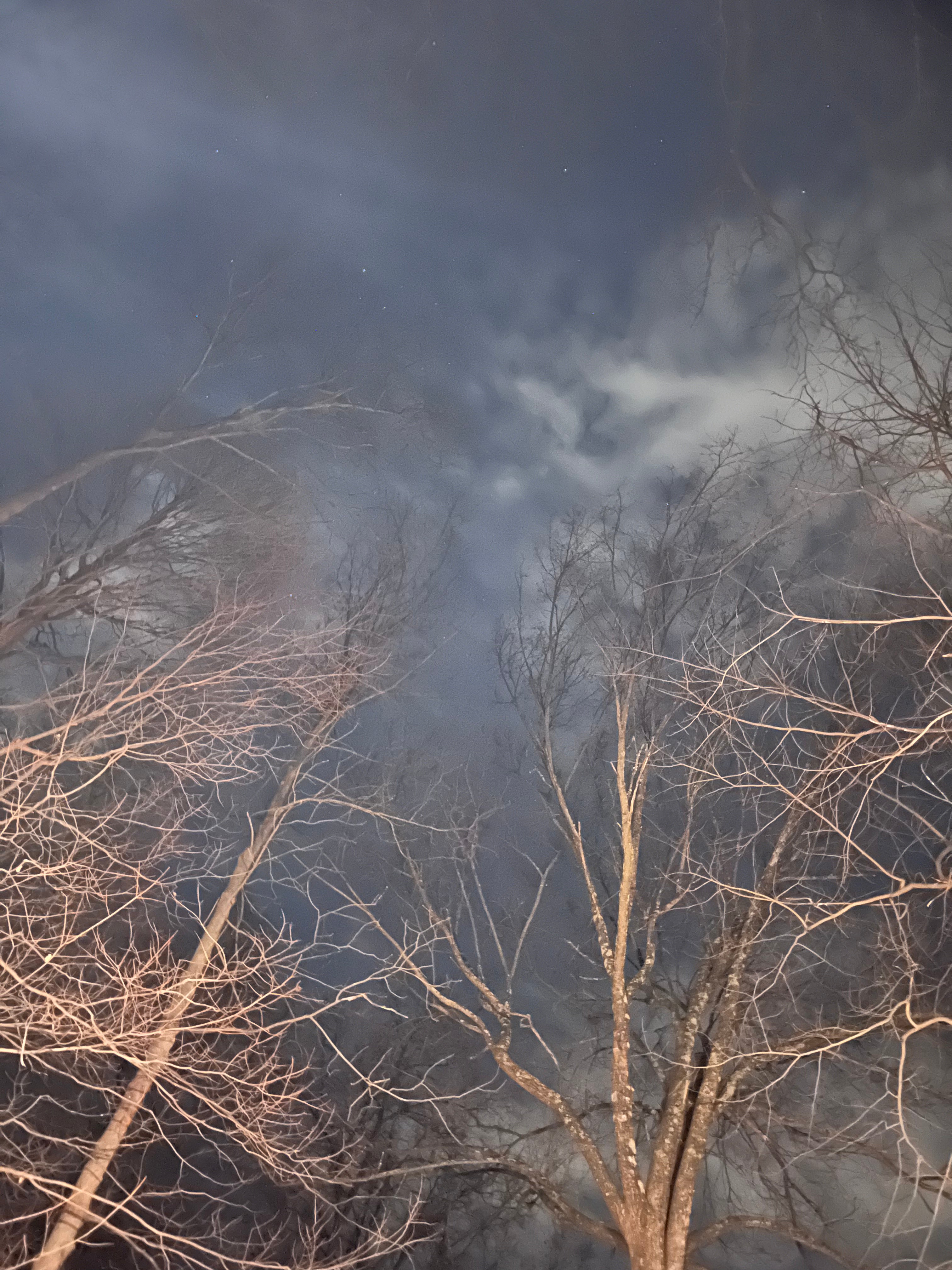 Winter Sky