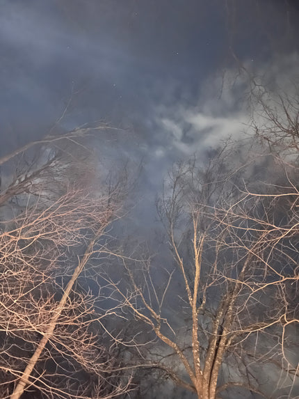 Winter Sky