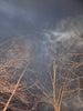 Winter Sky