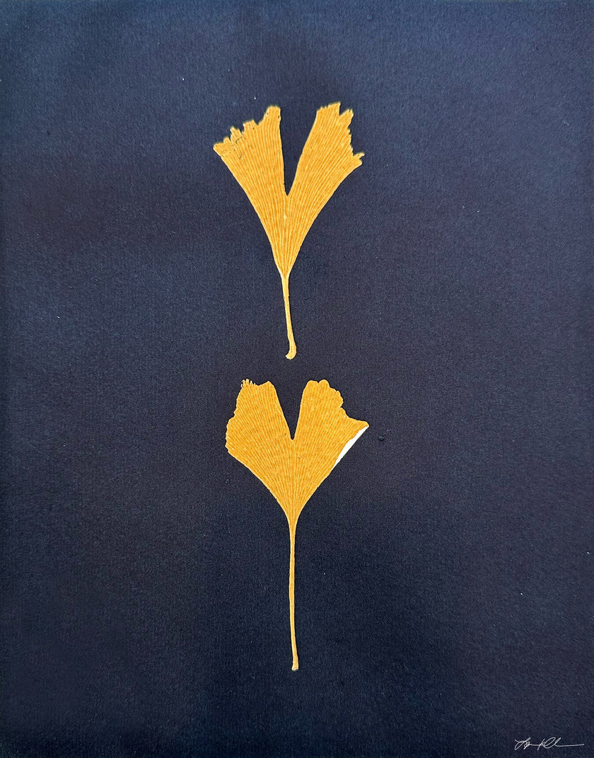 Ginkgo leaves: Hand-pulled Monoprint