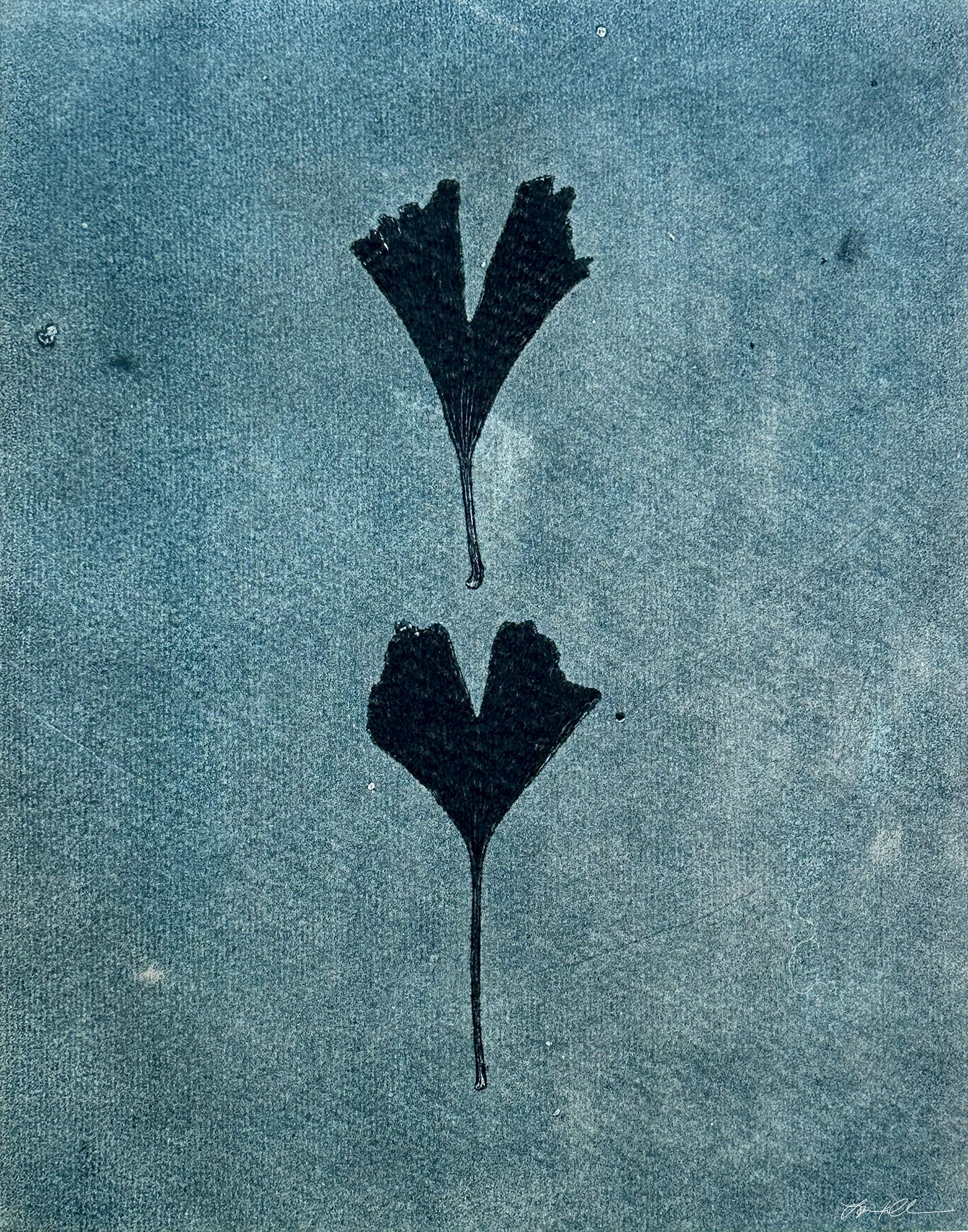 Ginkgo Leaves Lost: Giclée archival reproduction print