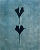 Ginkgo Leaves Lost: Giclée archival reproduction print