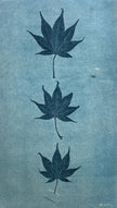 Japanese Maple in Blue: Hand-pulled Monoprint