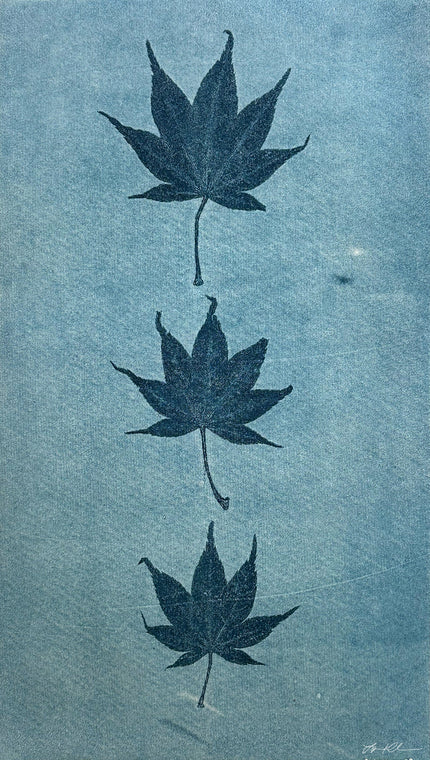 Japanese Maple in Blue: Hand-pulled Monoprint