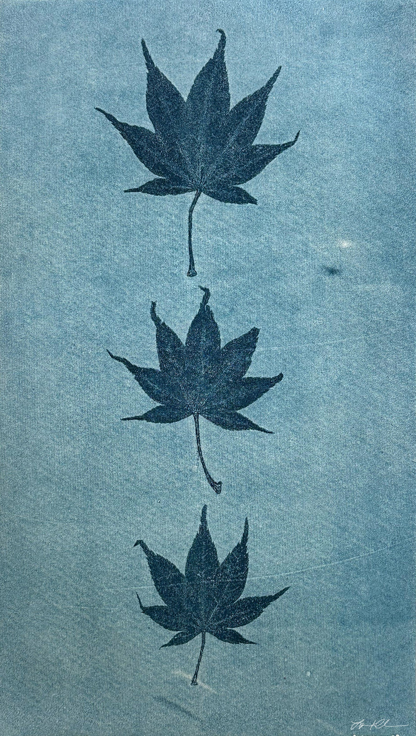 Japanese Maple in Blue: Hand-pulled Monoprint