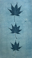 Japanese Maple in Blue: Giclée archival reproduction print