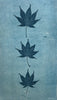 Japanese Maple in Blue: Giclée archival reproduction print