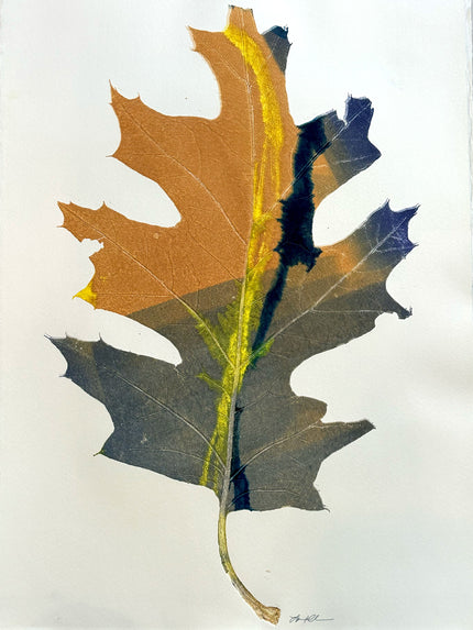 Abstract Oak: Giclée archival reproduction print