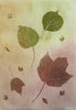 Autumn Leaves: Giclée archival reproduction print