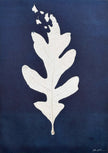 Drifting Oak #1: Hand-pulled Monoprint