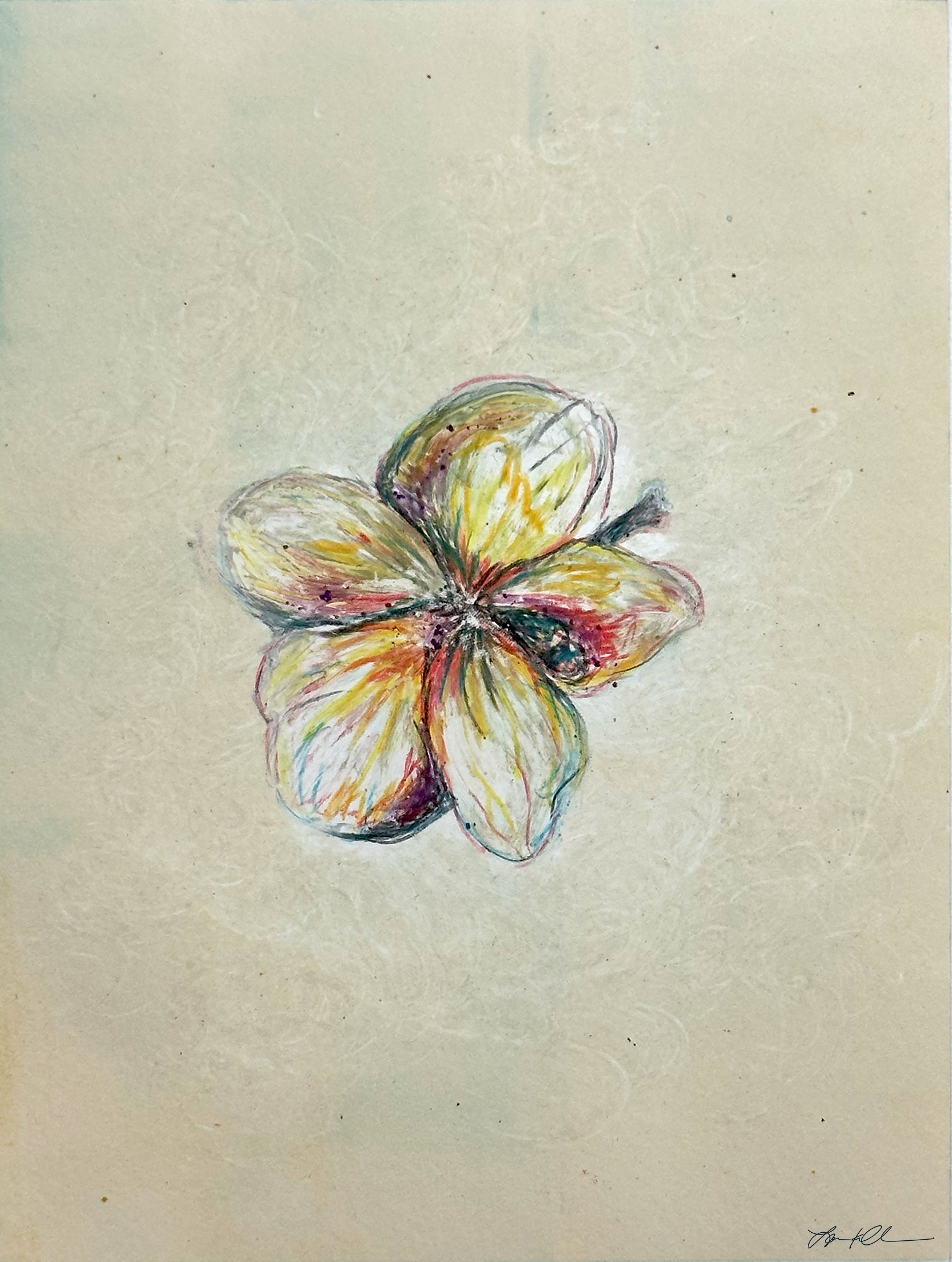 The Blossom: Giclée archival reproduction print