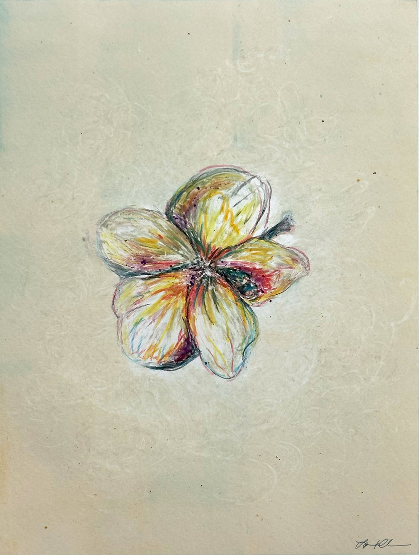 The Blossom: Hand-pulled Monoprint