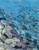 Tidal Whisper: Giclée archival reproduction print