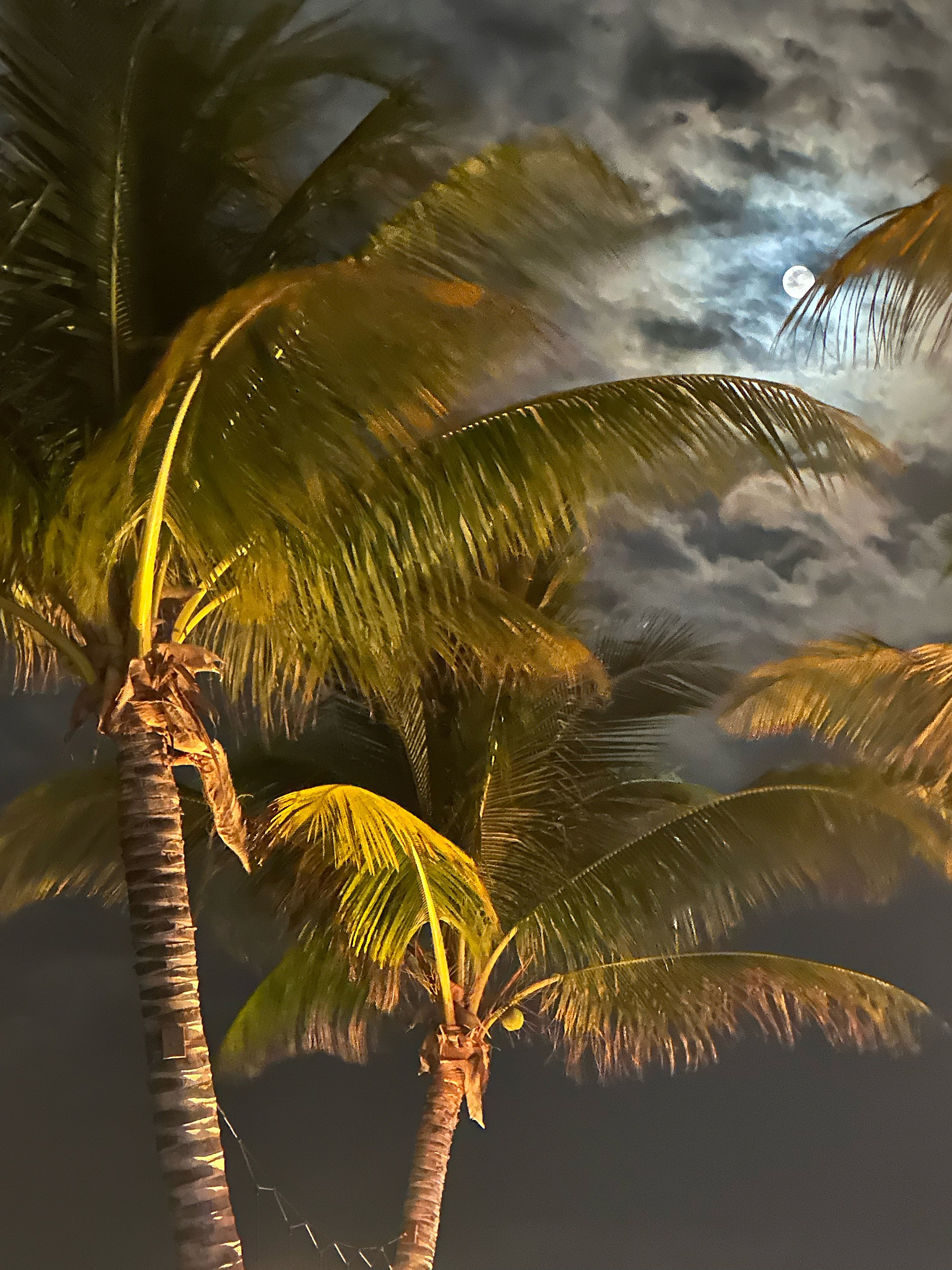 Moon Dance (Framed)