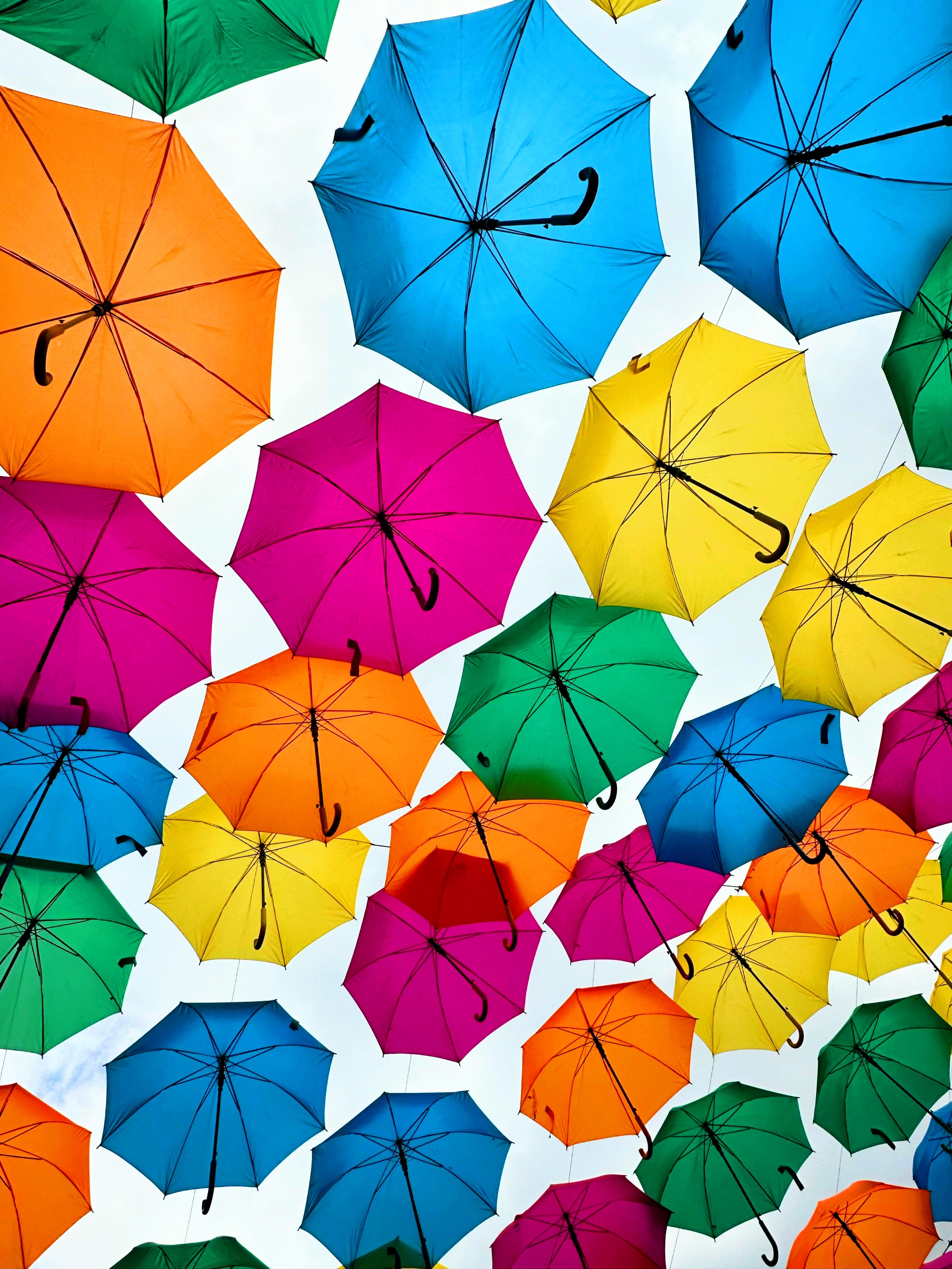 Rain on my Parade #1