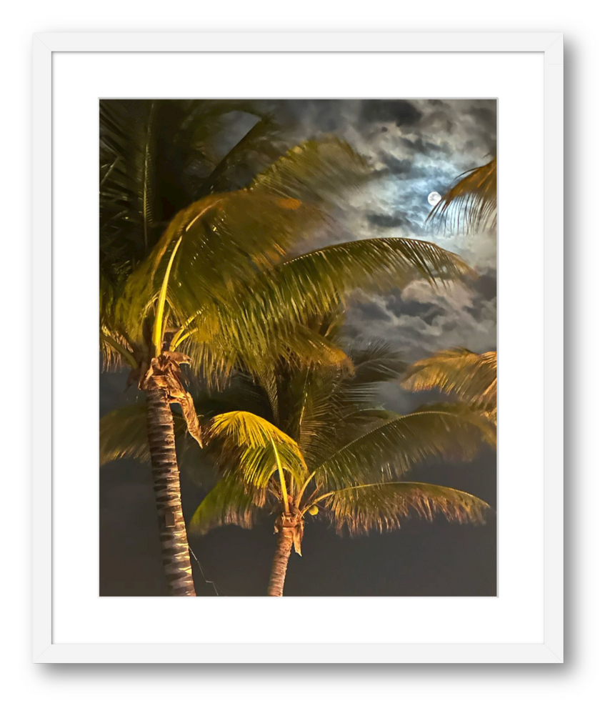Moon Dance (Framed)