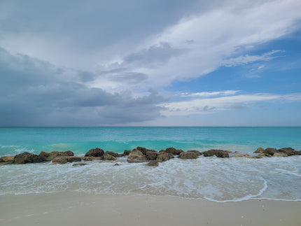 Serenity #4