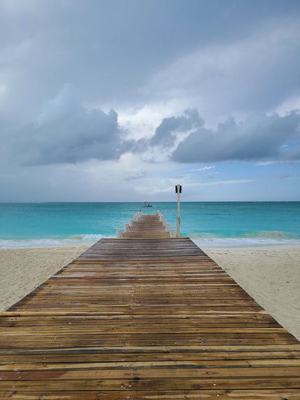 Serenity #5