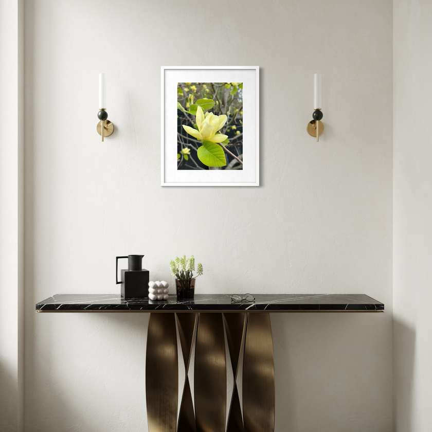 The Magnolia
