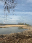 Winter River